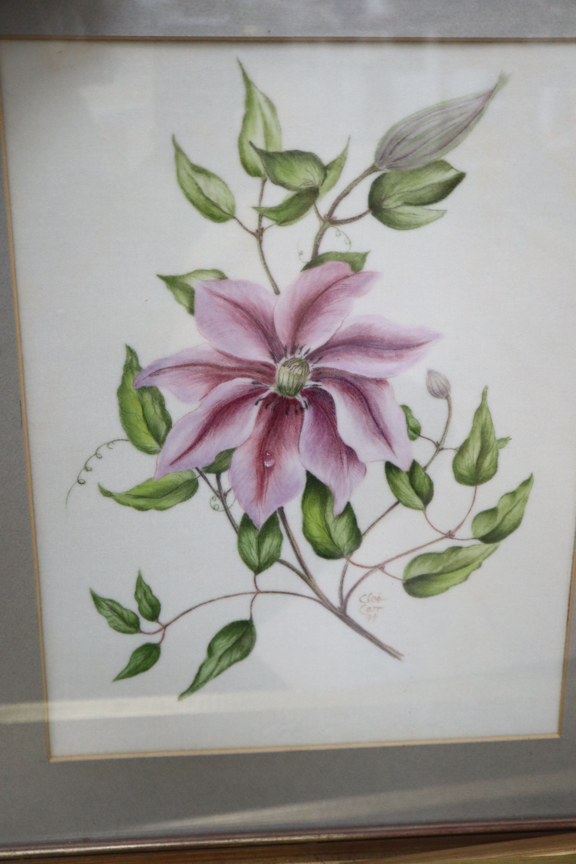 A group of assorted pictures and prints including a Joanne Fontanazzi watercolour of cherries, 29 x 29cm